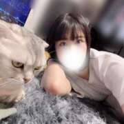 ヒメ日記 2025/04/05 21:26 投稿 せな 若葉