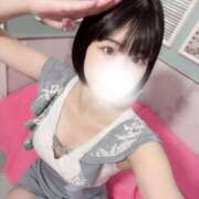 ヒメ日記 2025/04/11 17:12 投稿 せな 若葉