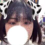 ヒメ日記 2025/04/27 15:06 投稿 せな 若葉