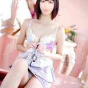 ヒメ日記 2025/04/29 18:46 投稿 せな 若葉