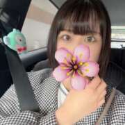 ヒメ日記 2025/05/04 14:05 投稿 せな 若葉