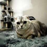 ヒメ日記 2025/05/05 15:26 投稿 せな 若葉