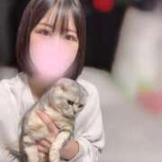 ヒメ日記 2025/05/25 11:34 投稿 せな 若葉