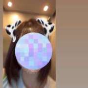 ヒメ日記 2025/06/19 14:25 投稿 せな 若葉