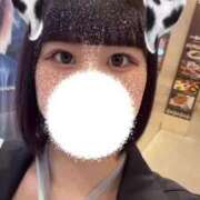 ヒメ日記 2025/07/13 14:25 投稿 せな 若葉