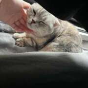 ヒメ日記 2025/10/06 17:05 投稿 せな 若葉