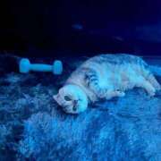 ヒメ日記 2025/10/10 10:35 投稿 せな 若葉