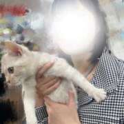 ヒメ日記 2025/10/17 18:45 投稿 せな 若葉