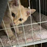 ヒメ日記 2025/10/24 10:05 投稿 せな 若葉