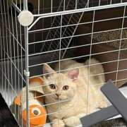 ヒメ日記 2025/11/16 13:05 投稿 せな 若葉