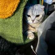 ヒメ日記 2025/12/03 16:25 投稿 せな 若葉