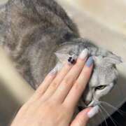 ヒメ日記 2025/12/24 16:11 投稿 せな 若葉