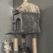 ヒメ日記 2026/01/10 15:24 投稿 せな 若葉