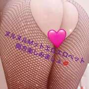 ヒメ日記 2025/09/30 14:21 投稿 梨絵(りえ) 松戸角海老根本店