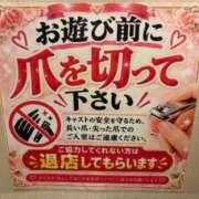 ヒメ日記 2026/09/23 10:21 投稿 梨絵(りえ) 松戸角海老根本店