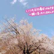 ヒメ日記 2025/04/06 20:05 投稿 てん 翡翠の夢