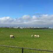 ヒメ日記 2025/05/24 19:59 投稿 じゅん sweet kiss