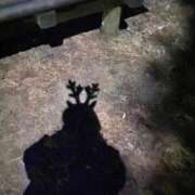 ヒメ日記 2025/11/29 09:39 投稿 じゅん sweet kiss