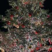 ヒメ日記 2025/12/21 01:09 投稿 じゅん sweet kiss