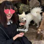 ヒメ日記 2025/05/14 13:58 投稿 まり かりんと秋葉原