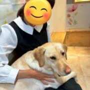 ヒメ日記 2025/07/05 20:08 投稿 まり かりんと秋葉原