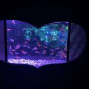 ヒメ日記 2025/07/08 21:54 投稿 まり かりんと秋葉原