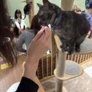 ヒメ日記 2025/08/07 21:02 投稿 まり かりんと秋葉原