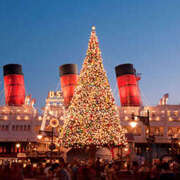 ヒメ日記 2025/11/25 23:18 投稿 まり かりんと秋葉原