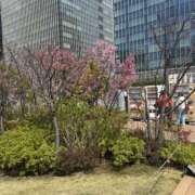 ヒメ日記 2026/04/05 20:58 投稿 まり かりんと秋葉原