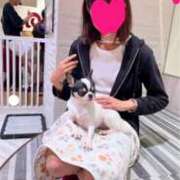 まり 癒し🐕 かりんと秋葉原