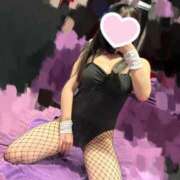 ヒメ日記 2025/03/30 09:36 投稿 クルミ バニーコレクション千葉栄町店