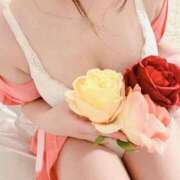 ヒメ日記 2025/08/10 15:42 投稿 もみじ カクテル(岡山)