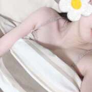 ヒメ日記 2025/03/30 06:48 投稿 れいな ピュアコス学園