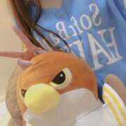 ヒメ日記 2026/01/26 08:40 投稿 れいな ピュアコス学園