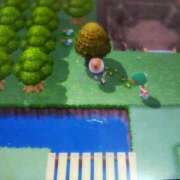 ヒメ日記 2025/03/28 12:34 投稿 るり 元町奥さま