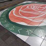 ヒメ日記 2025/04/08 08:54 投稿 るり 元町奥さま