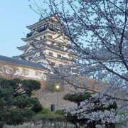 ヒメ日記 2025/04/09 09:09 投稿 るり 元町奥さま