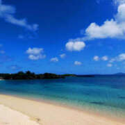 ヒメ日記 2025/04/10 08:54 投稿 るり 元町奥さま