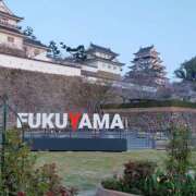 ヒメ日記 2025/04/11 12:07 投稿 るり 元町奥さま