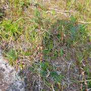 ヒメ日記 2025/04/30 22:04 投稿 るり 元町奥さま