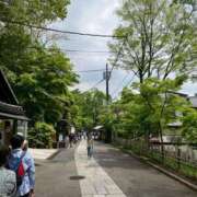 ヒメ日記 2025/05/03 08:44 投稿 るり 元町奥さま