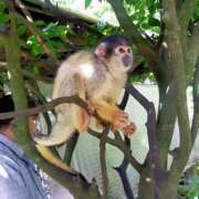 ヒメ日記 2025/05/06 12:07 投稿 るり 元町奥さま