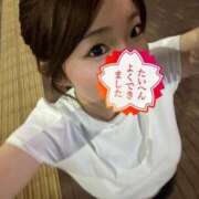 ヒメ日記 2025/07/03 00:13 投稿 さら しろうと娘　本店