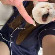 ヒメ日記 2025/07/26 16:43 投稿 さら しろうと娘　本店