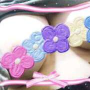 ヒメ日記 2025/04/01 20:51 投稿 こはる MOTHER(旧ママとおねえさん)