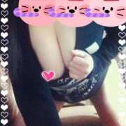 ヒメ日記 2025/04/03 18:51 投稿 こはる MOTHER(旧ママとおねえさん)