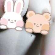 ヒメ日記 2025/11/01 09:41 投稿 こはる MOTHER(旧ママとおねえさん)