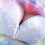 ヒメ日記 2025/11/08 09:41 投稿 こはる MOTHER(旧ママとおねえさん)