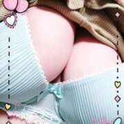 ヒメ日記 2025/11/15 10:02 投稿 こはる MOTHER(旧ママとおねえさん)