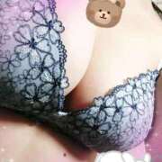 ヒメ日記 2025/11/19 17:51 投稿 こはる MOTHER(旧ママとおねえさん)